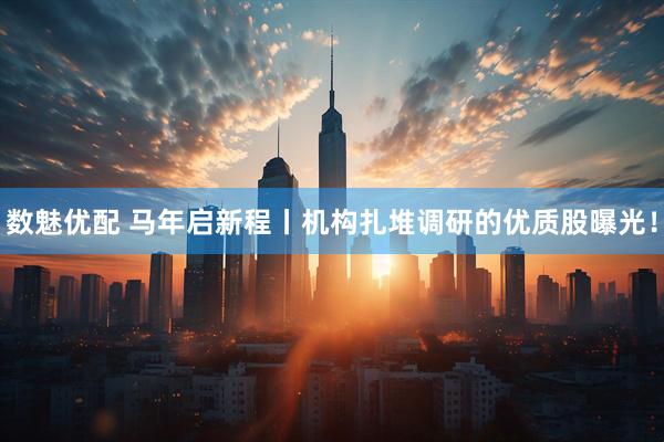 数魅优配 马年启新程丨机构扎堆调研的优质股曝光！