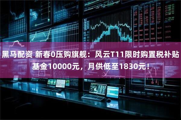 黑马配资 新春0压购旗舰：风云T11限时购置税补贴基金10000元，月供低至1830元！