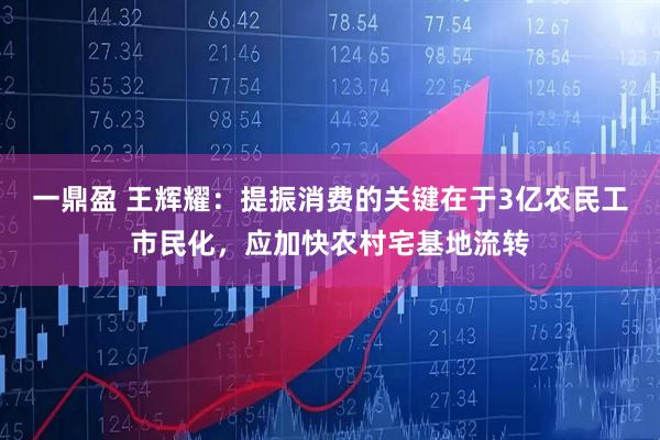 一鼎盈 王辉耀：提振消费的关键在于3亿农民工市民化，应加快农村宅基地流转