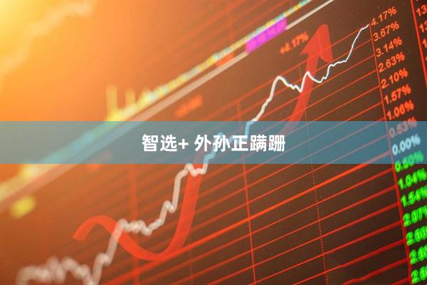 智选+ 外孙正蹒跚